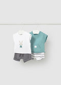 Conjunto 4 piezas